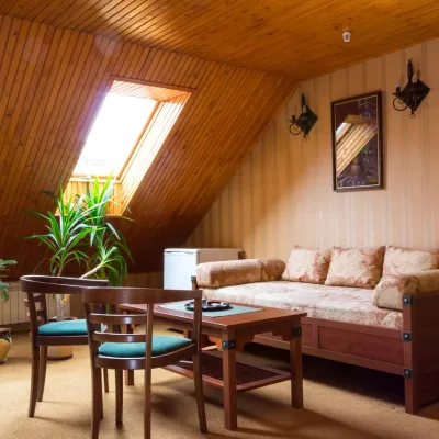 Hotel "Flying Dutchman" Uzhhorod — 4