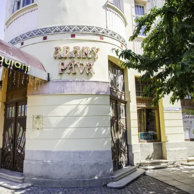 Hotel "Złota Paw" Berehove — 4