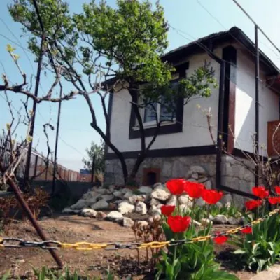 Готельний комплекс "Villa Elena" Яноші