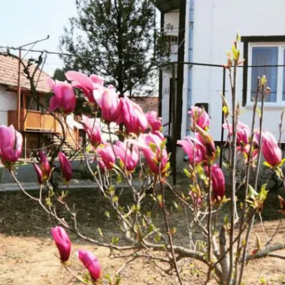 Kompleks hotelowy "Villa Elena" Mykulychyn — 5