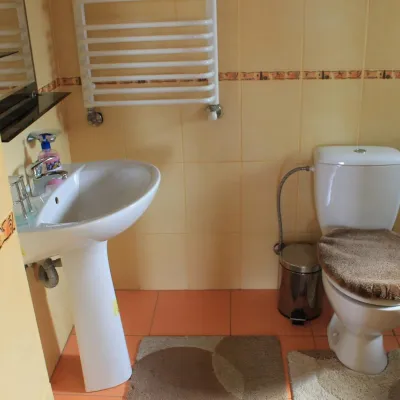 Cottage "U Yaremy" Mykulychyn — 3