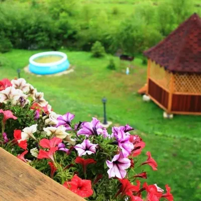 Kompleks "Panska Sadiba" Plav'ya (basen+sauna+jacuzzi) — 2