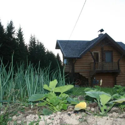 Садиба "Дримба" Східниця — 3