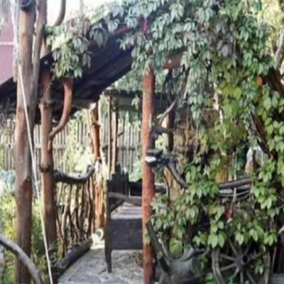 Homestead "Faina Chichka" — 2
