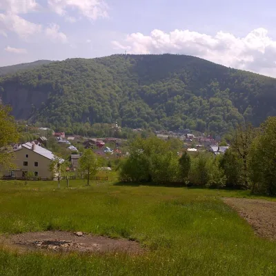 Homestead "Panorama" Mykulychyn