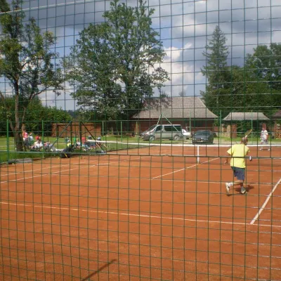 Pensjonat "Sheshory Country Club" (basen, kominek) — 2