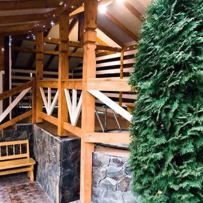 Homestead "Sosnovyi Dvir" Kosiv (banya, sauna) — 4