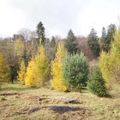 Pensjonat "Zhyvytsia" Tatarów (sauna + balia) — 2