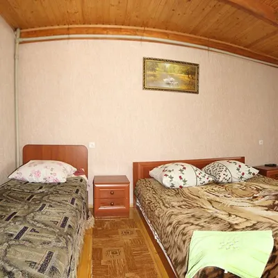 Pensjonat "Zoretsvit" Mykulychyn — 3