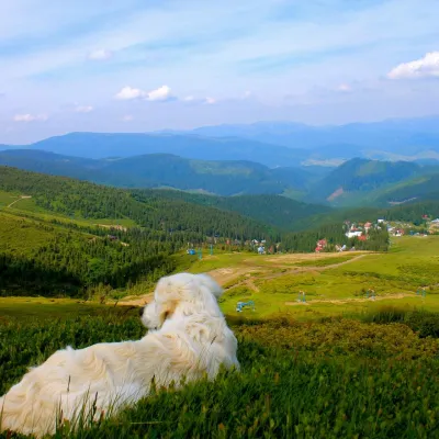 Sports and Tourism Complex "Oaza" Dragobrat — 3
