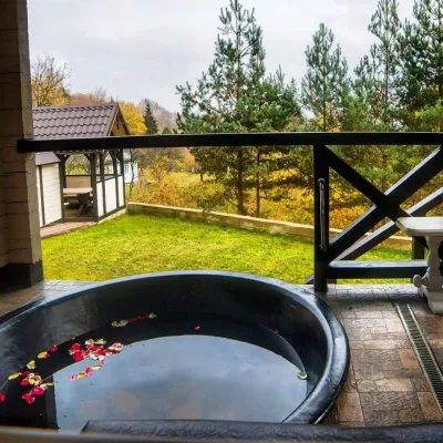 "VILLA MEDOVA" Kosiv (bath, apitherapy, sauna) — 3