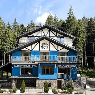 Blueberryhouse — 2