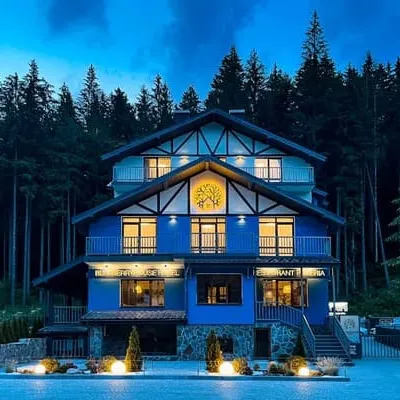 Blueberryhouse — 5