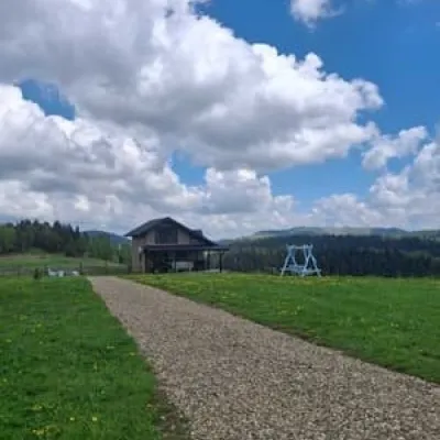 Bukhouse carpathians — 4