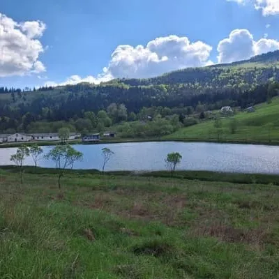 Bukhouse carpathians — 5