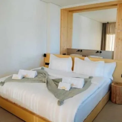 Calm luxury chalet natural — 4