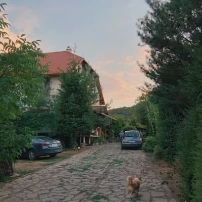 De Campo — 2
