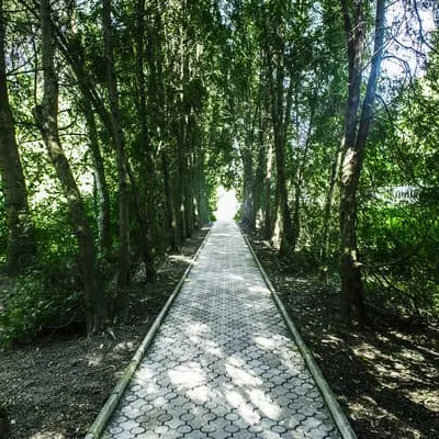 Elite Dnipro — 5