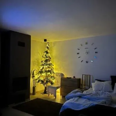 Forest House — 4