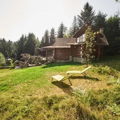Forest House exclusive — 3