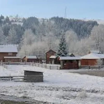 Карпатський водограй — 5