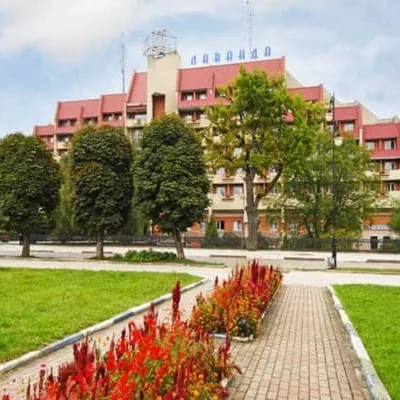 Лаванда — 4