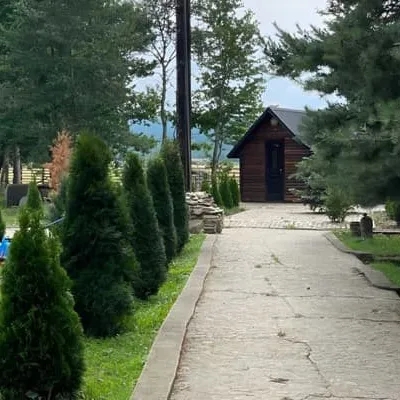 Mlyn — 2