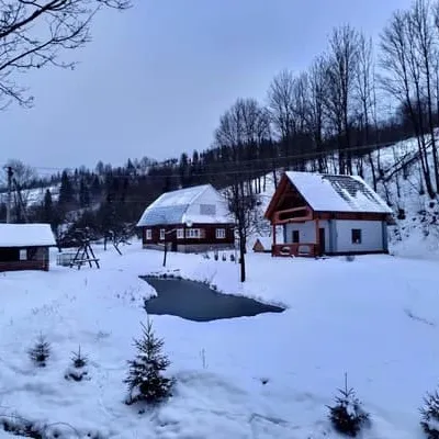 Na luzi