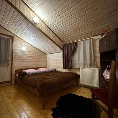 Тиша — 2