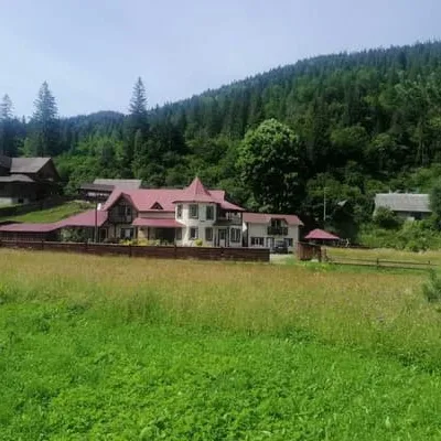 У Ангеліни — 5