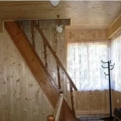 У Міші та Ані — 5