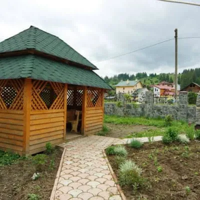 У пані Лілі — 3