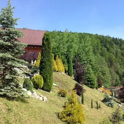 Верес — 5