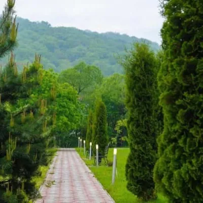 VitaPark Поляна — 3