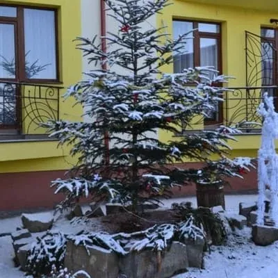 Vizyt — 5