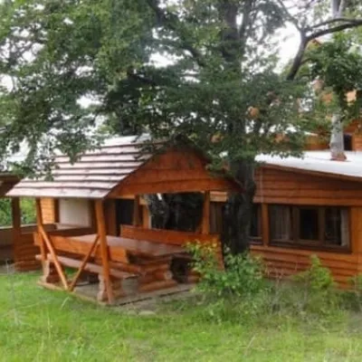 Вишка — 2