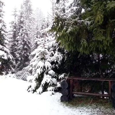 WoodDream — 2