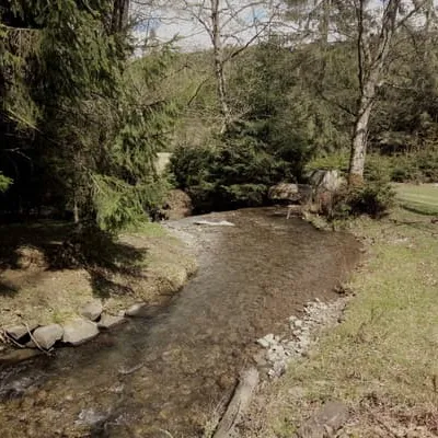 WoodDream — 5