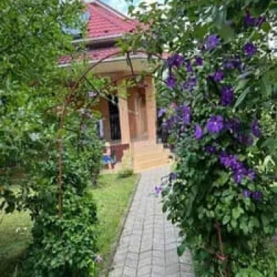 Злоторія — 5