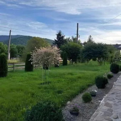 Золото Карпат — 2
