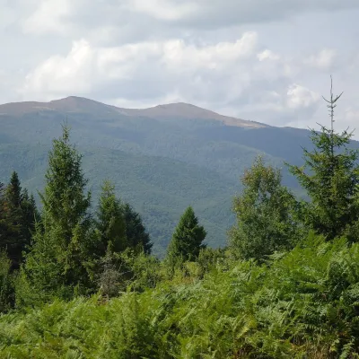 Polonyna Rivna (Runa)