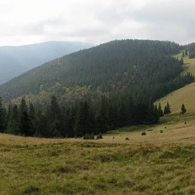 Полонина Явірник (Яремче) — 4