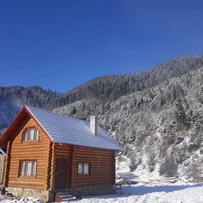 Homestead "BILYA SYNEVYRU" Synevyrska Polyana — 5