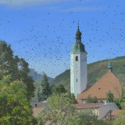 Častá