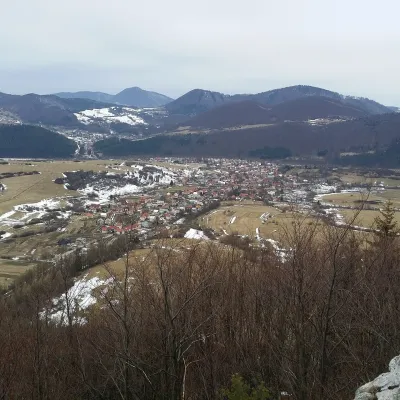 Бела