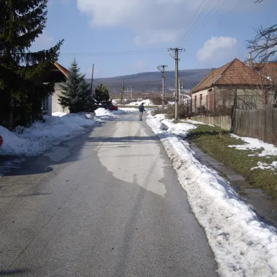 Dubová