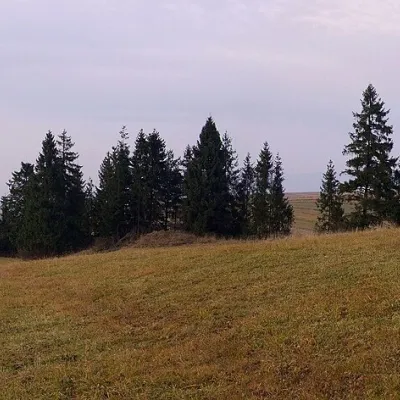 Dursztyn