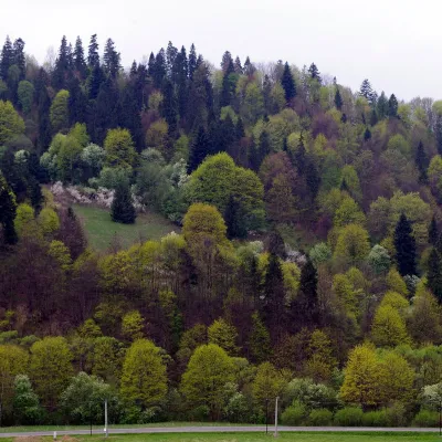 Червоний кляштор