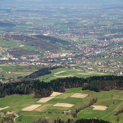 Grybów