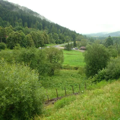 Krzywe